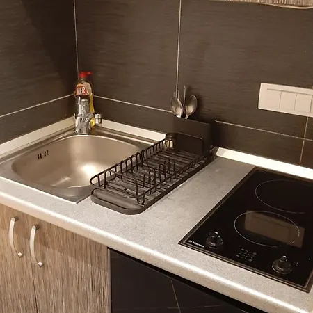 Apartment Skadarlija