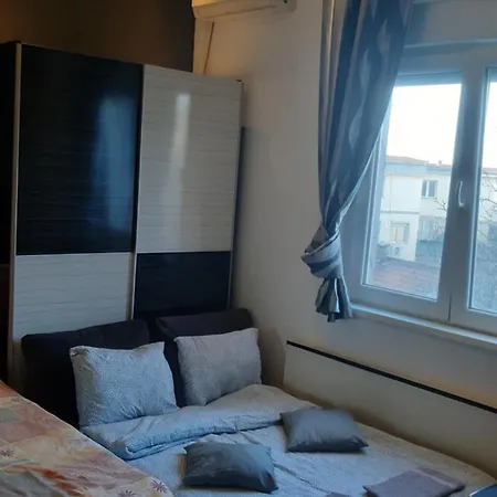 Apartment Skadarlija *
